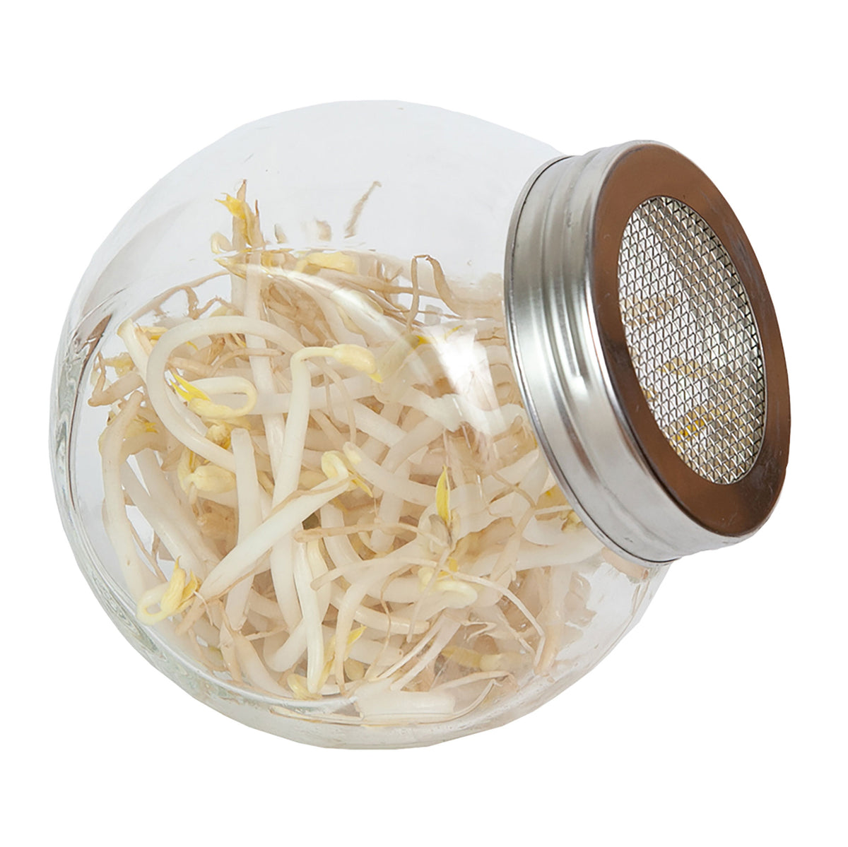 Mung bean sprouts Vigna radiata - Organic including Cultivation set - Vegetable seeds