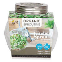 Sprout Daikon Raphanus - Organic including Cultivation set - Vegetable seeds