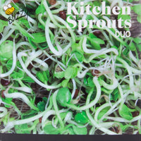 Sprout Mix - Organic including glass pots and tray - Vegetable seeds