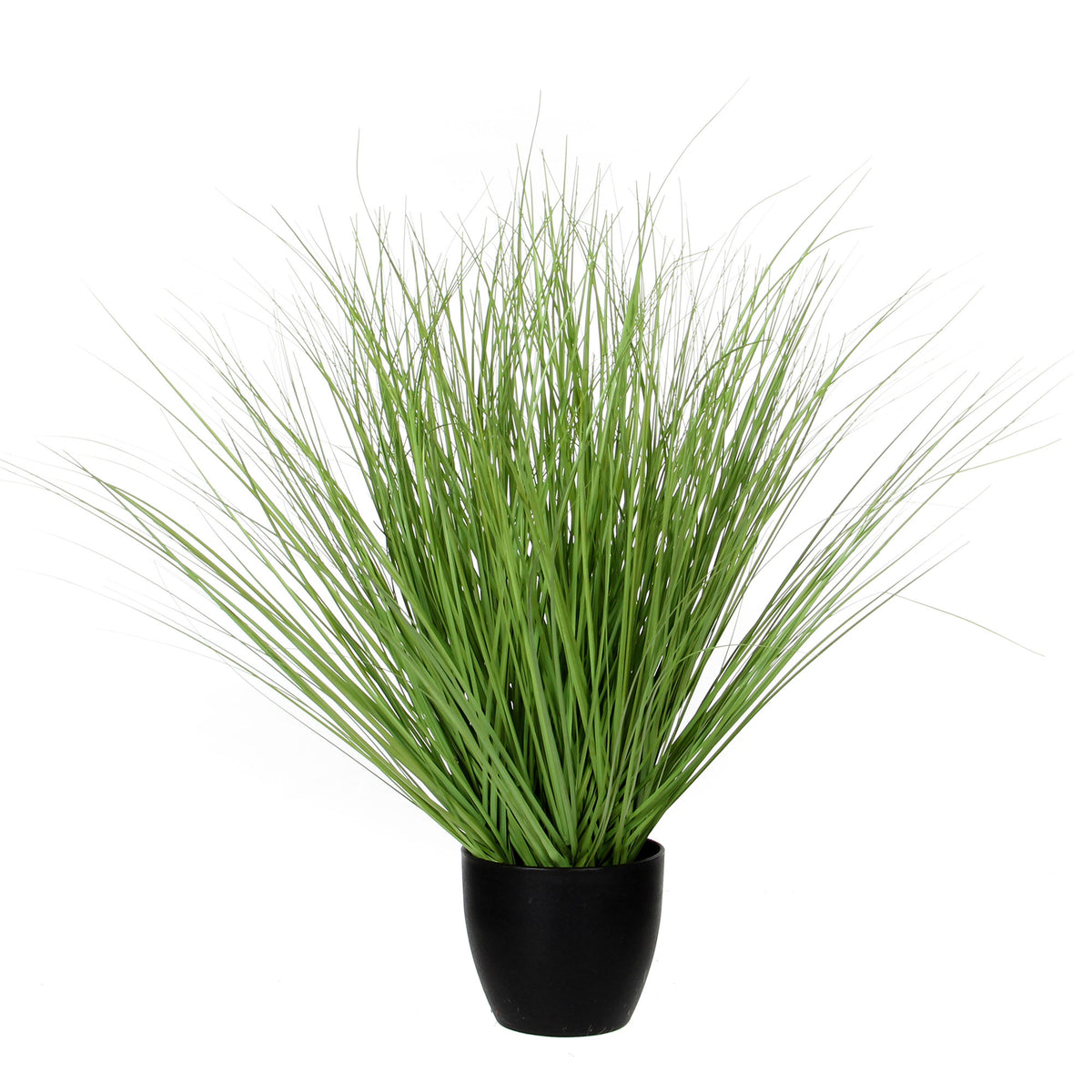 Artificial plant Crested dog's tail Cynosurus Incl. round plastic decorative pot