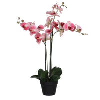 Artificial plant Orchid Phalaenopsis pink Incl. round plastic decorative pot