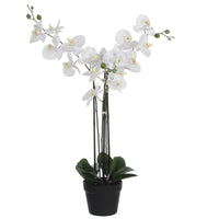 Artificial plant Orchid Phalaenopsis white Incl. round plastic decorative pot