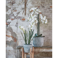 Artificial plant Orchid Phalaenopsis white Incl. round plastic decorative pot