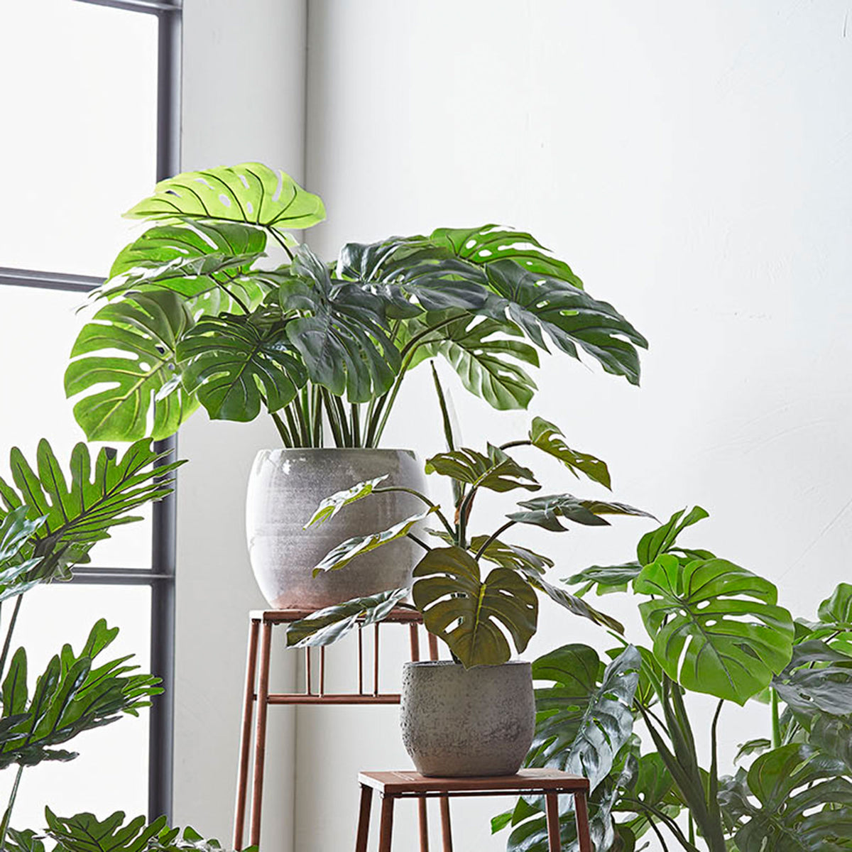 Artificial plant Swiss cheese plant Monstera Incl. round earthenware decorative pot