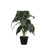 Artificial plant Elephant's ear Alocasia Incl. round plastic decorative pot