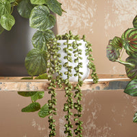 Artificial plant Succulent Senecio 'Pearl'