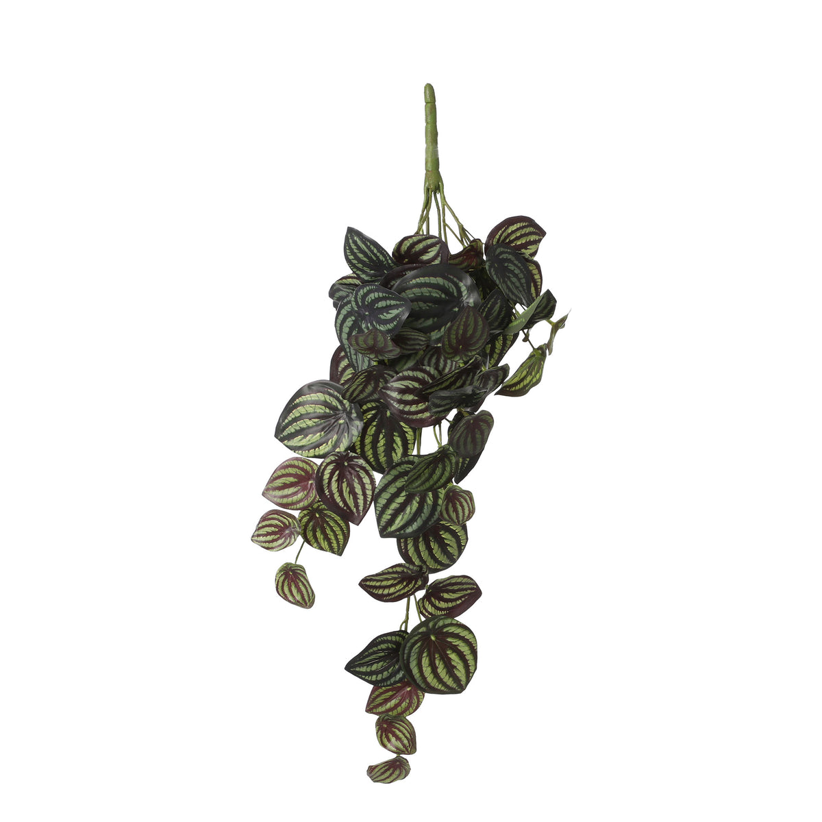 Artificial plant Peperomia green-white