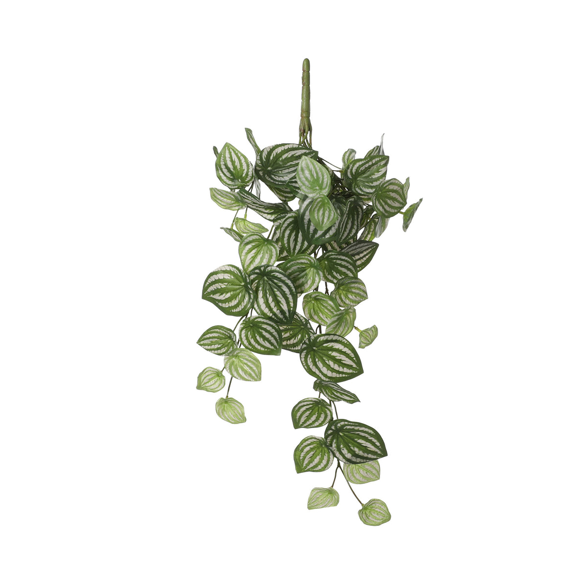 Artificial plant Peperomia green-white