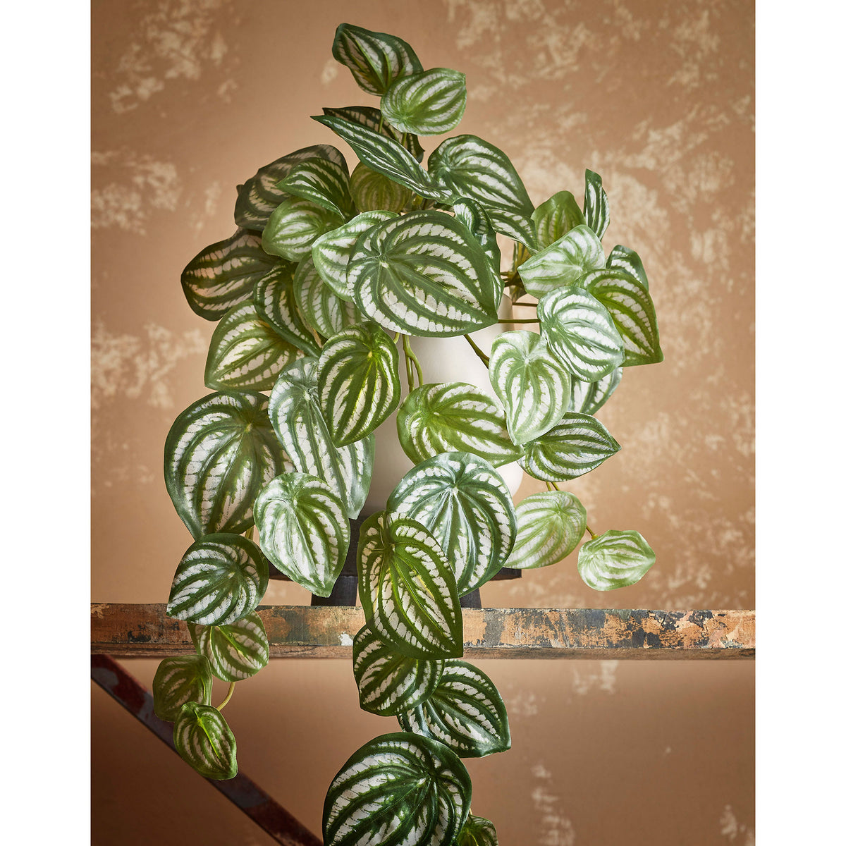 Artificial plant Peperomia green-white