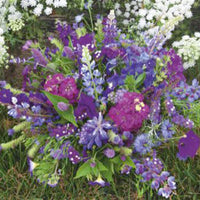 Summer flowers - Mix blue 1 m² - Flower seeds