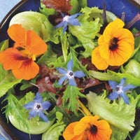 Edible flowers - Mix 2 m² - Flower seeds