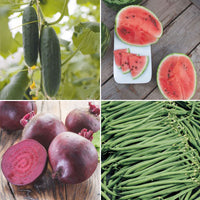 Vegetable gardening package 'Very Easy Veg Garden' - Organic Vegetable seeds, fruit seeds