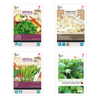 Asian package 'Absolutely Asian' Vegetable seeds, herb seeds