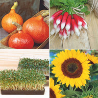 Vegetable gardening for children package 'Cool Kidss' - Organic Vegetable seeds, herb seeds, flower seeds