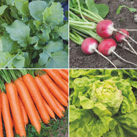Vegetable gardening starter package 'Very Easy Veg Garden' - Organic - Vegetable seeds