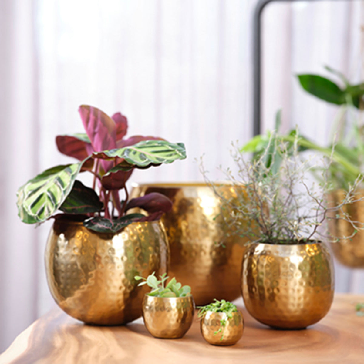 3x TS flower pot Kody round gold — indoor pot