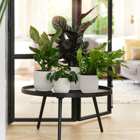 Elho flower pot Vibes Fold round white - Indoor pot