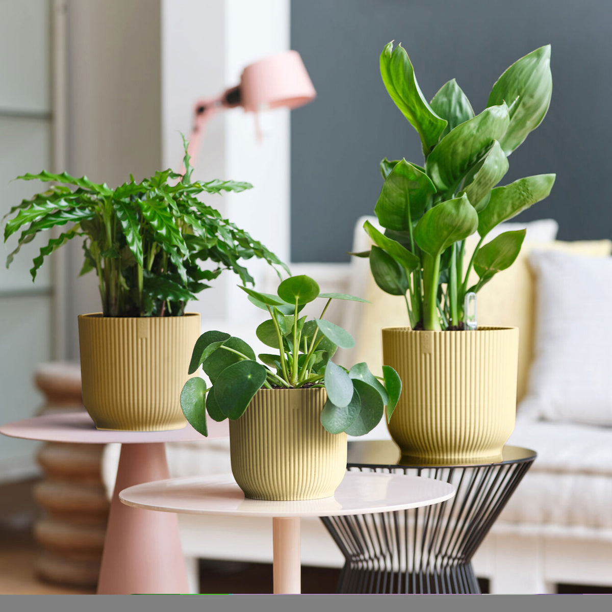 Elho flower pot Vibes Fold round yellow - Indoor pot