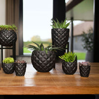 Capi Lux Heraldry Flower pot Bulb black - Indoor pot