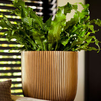 Capi Flower pot Nature Groove round gold - Indoor pot