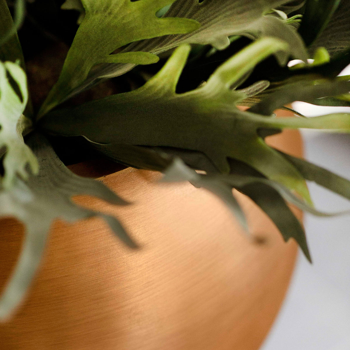 Capi Lux Retro Bulb gold - Indoor pot