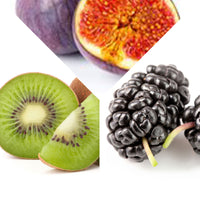 3x Mulberry 'Mulle', fig tree 'Perretta', kiwi 'Jenny' - Mix 'Summer fruit' - Organic