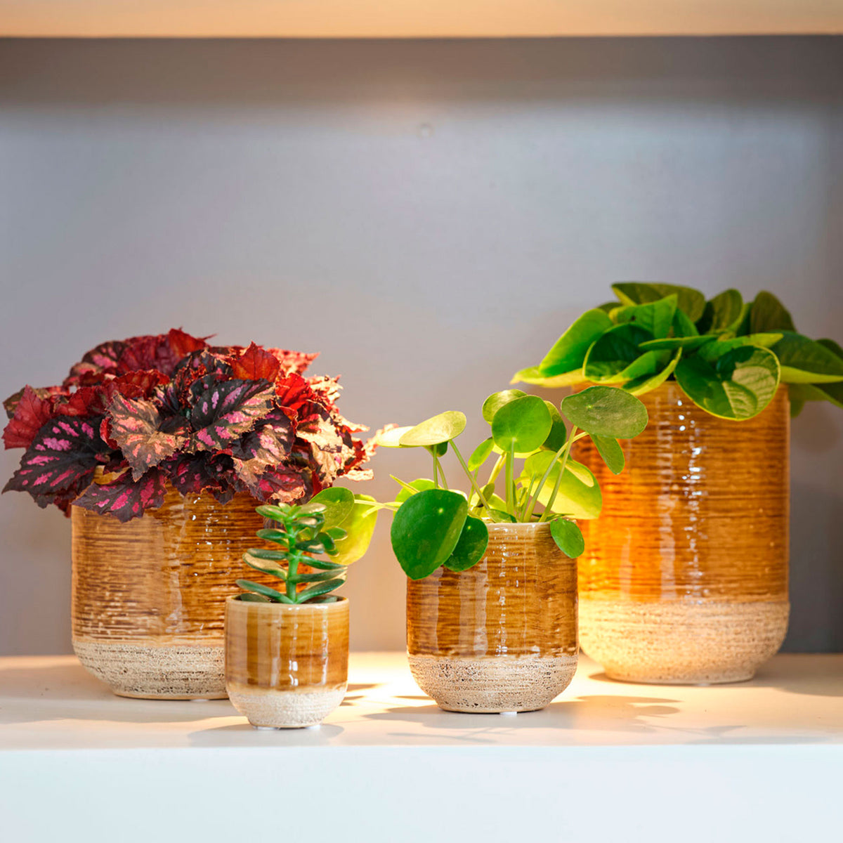 TS Hanging pot Issa round yellow - Indoor pot