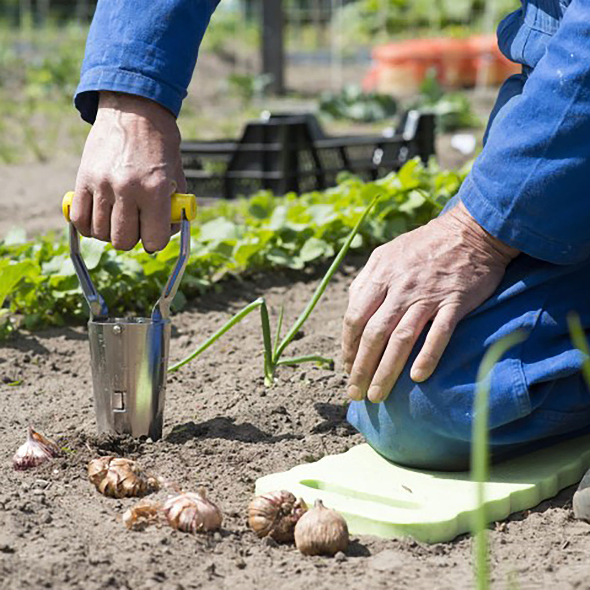 Nature Automatic bulb planter