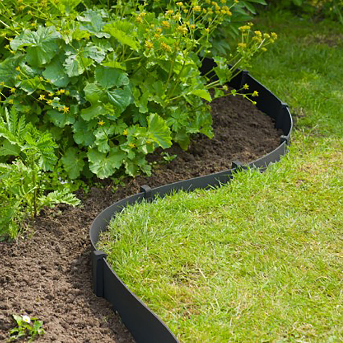 Nature Border edge black