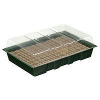 Nature Propagator & floral foam