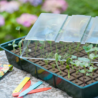 Nature Propagator & floral foam