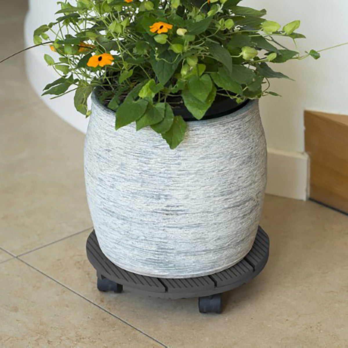 Nature WPC plant trolley