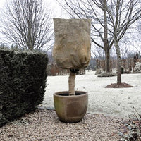 Jute winter plant cover