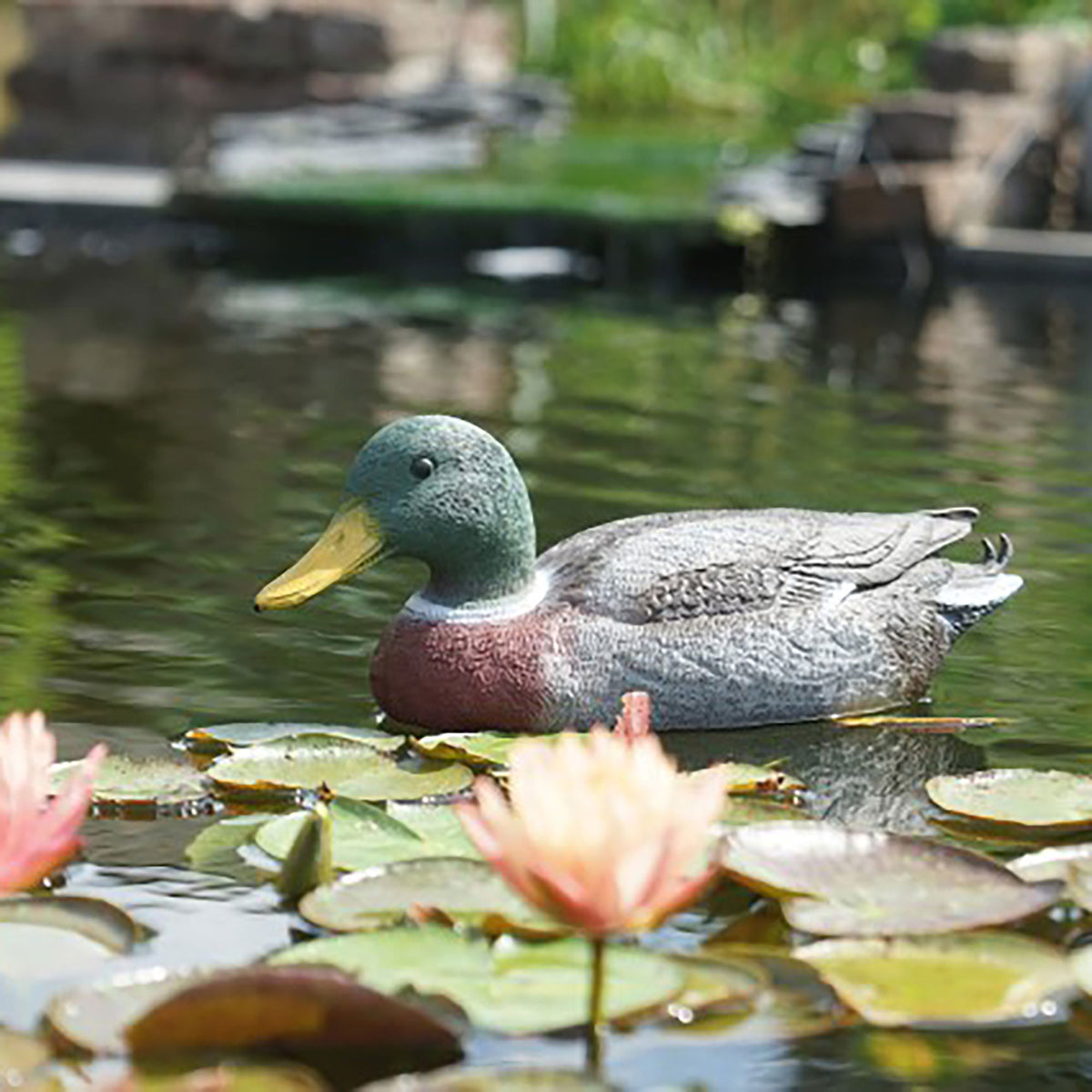 Plastic wild drakes