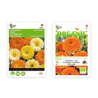 Marigold package Calendula 'Gleaming gold' yellow-orange 5.5 m² - Flower seeds