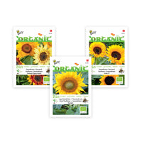 Sunflowers package Helianthus 'Sea of sunflowers' - Organic yellow 9 m² - Flower seeds