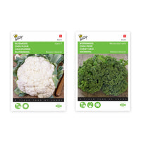 Cabbage package 'Commanding cabbage' 60 m² - Vegetable seeds