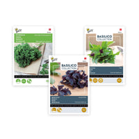 Herb package 'Flavoursome flavourings' 22.5 m² - Herb seeds