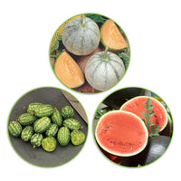 Melon package 'Mighty melons' 21 m² - Fruit seeds