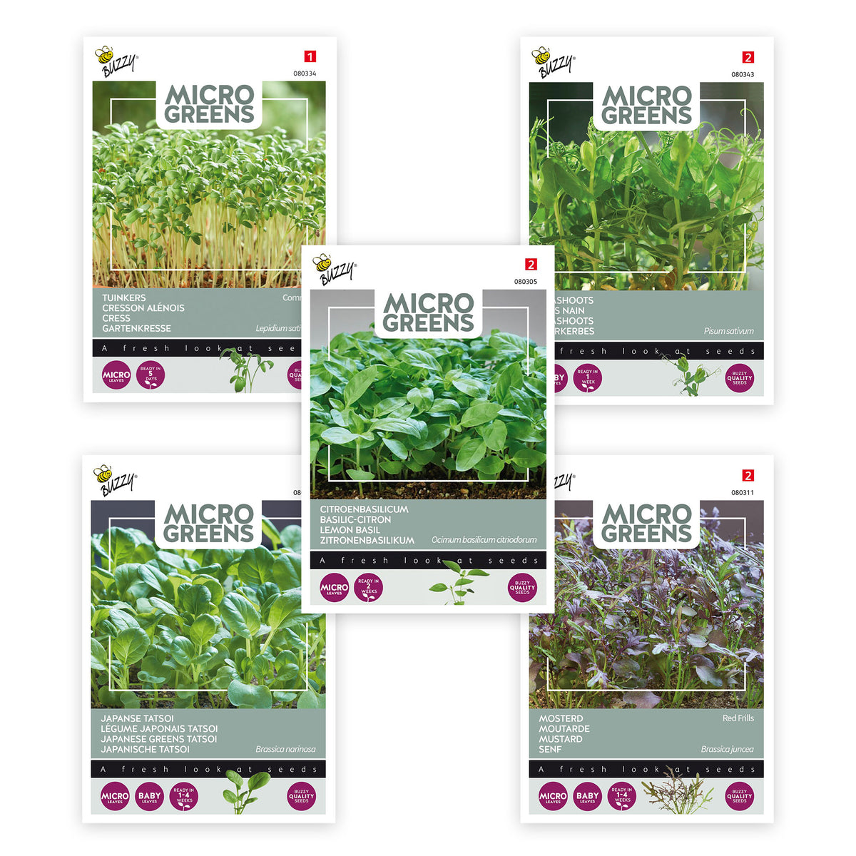 Sprouted vegetables package 'Special salad' 6 m² - Vegetable seeds, herb seeds