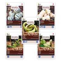 Squash package 'Tasteful types' 24 m² - Vegetable seeds