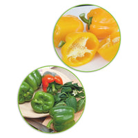 Sweet pepper package Capsicum 'Pleasing sweet peppers' - Organic 10 m² - Vegetable seeds