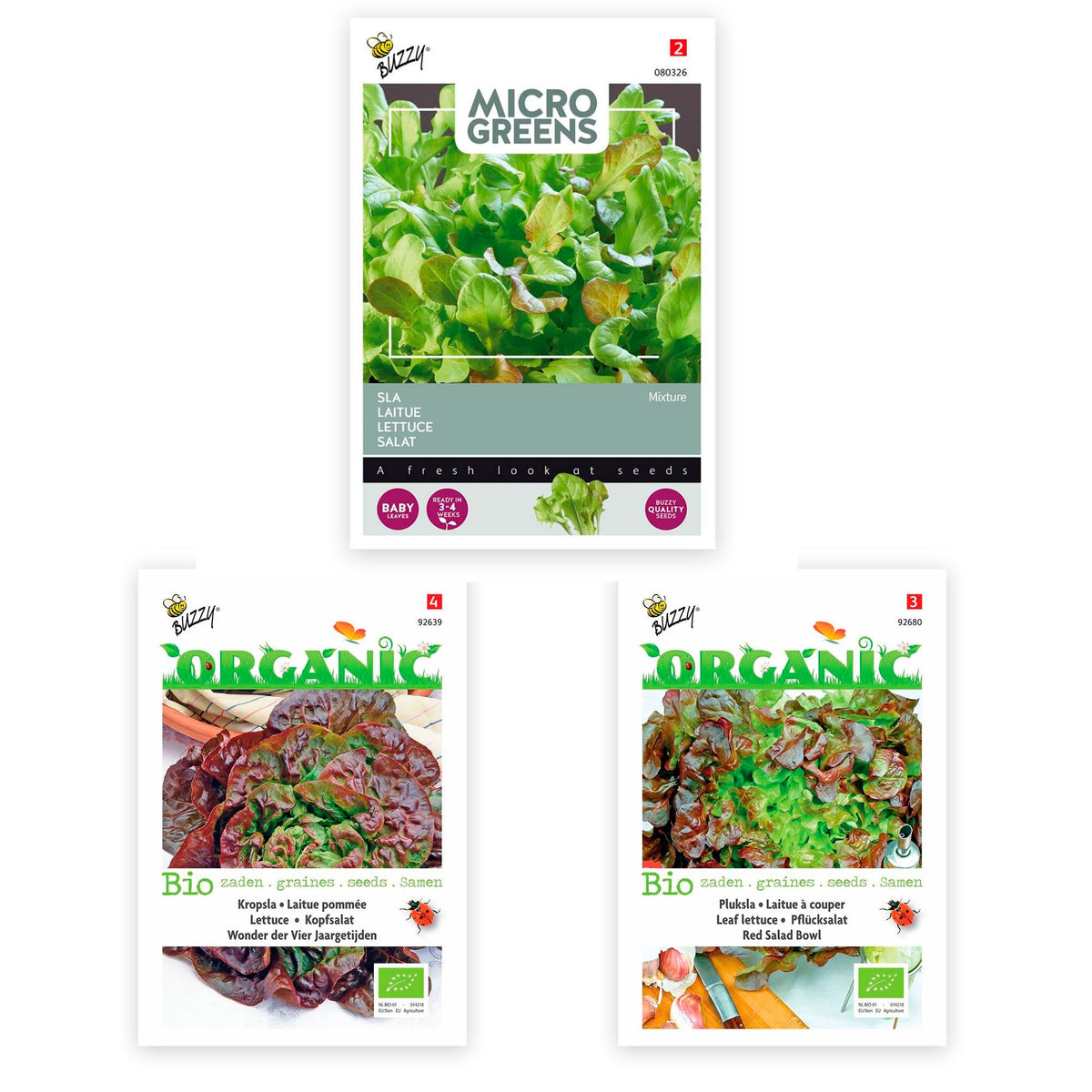 Lettuce package 'Succulent salads' 80 m² - Vegetable seeds