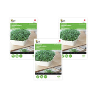 Broad-leaf cress Lepidium sativum 6 m² - Herb seeds