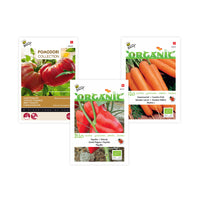 Vegetable gardening package ' Cheeky Vegetables' with complete growing kit