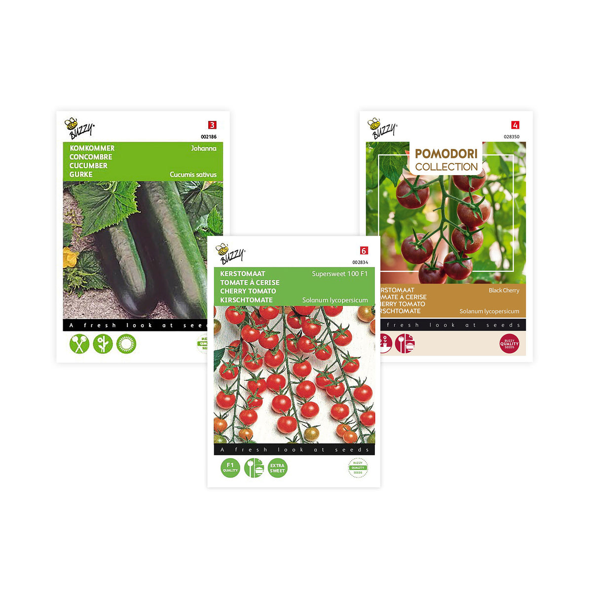 Vegetable gardening package 'great garden' with complete growing kit