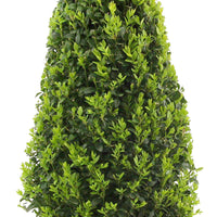 Buxus sempervirens incl. decorative pot Black