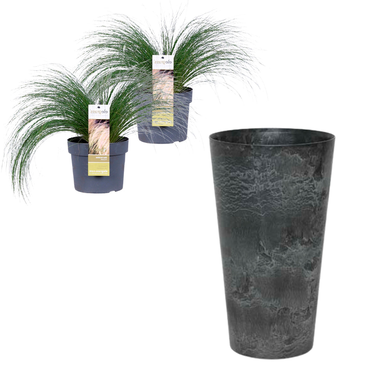 2x Stipa 'Ponytails' green incl. decorative pot