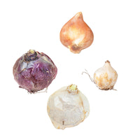 80x Flower bulb package 'March to May 60 days of flowers'
