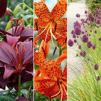 115x naturalising flower bulb mix 'Wild Wannahaves'